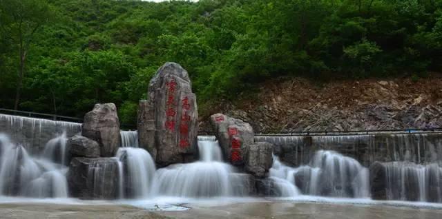专注问答,尽在狮子座的性格蜗牛
